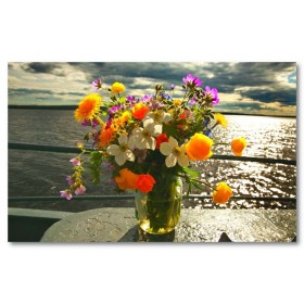 Αφίσα (λουλούδια, χρώμα, λουλούδια, φύση)